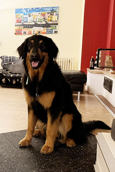 Carlo 2 Jahre alt web 400